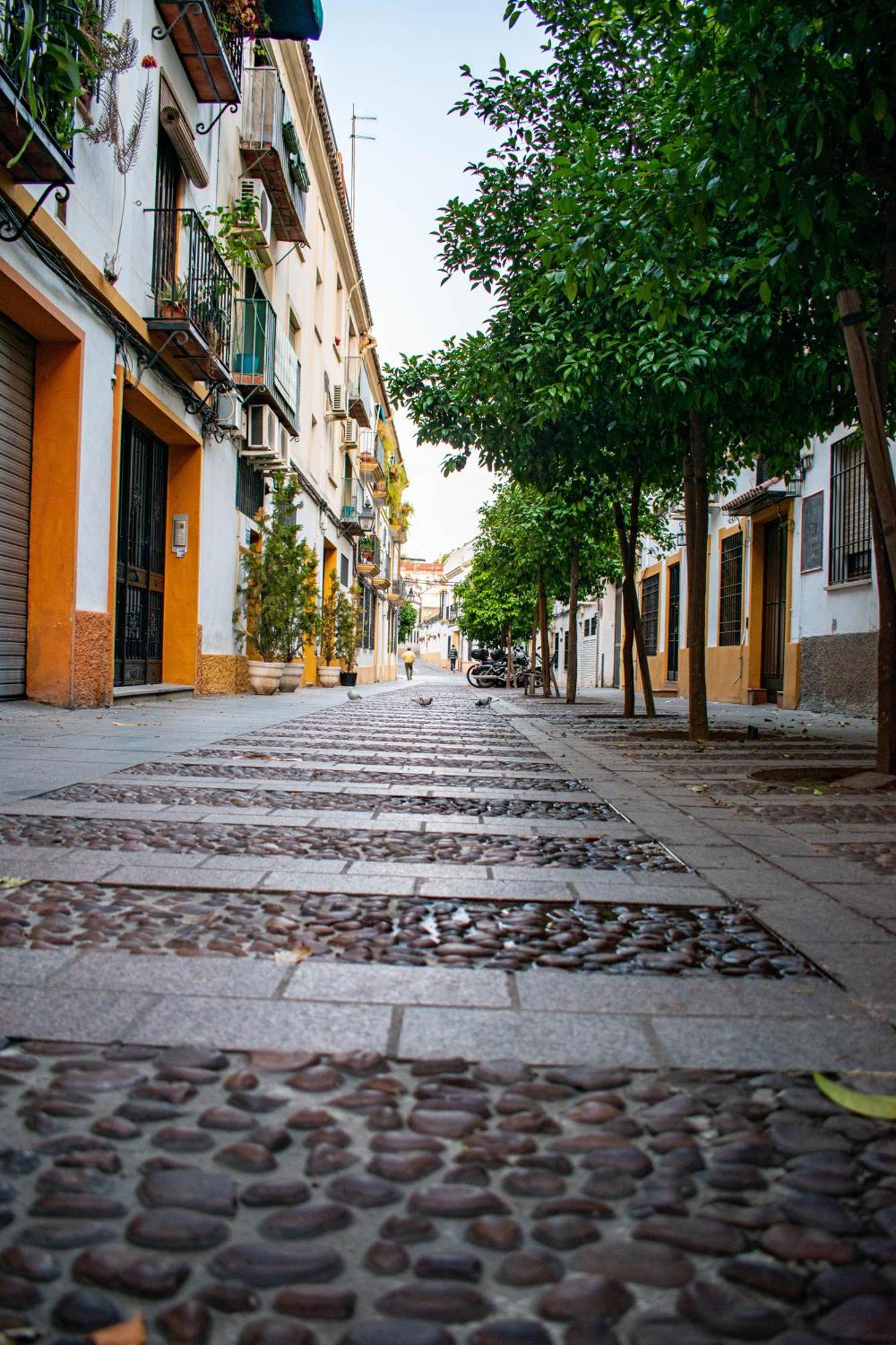 Alojamiento Entero, Centro De Cordoba Con Cochera Eksteriør bilde